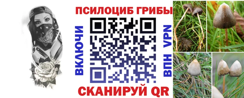 Галлюциногенные грибы MAGIC MUSHROOMS  Дегтярск 